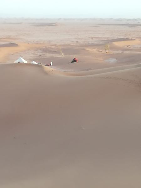 0988b10a-278c-4742-bfc6-7777e4bde5b9