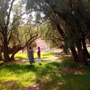 PHOTO-2025-04-08-19-22-43